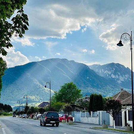 Casa Bunicilor Villa Colonia Sase Martie Екстериор снимка